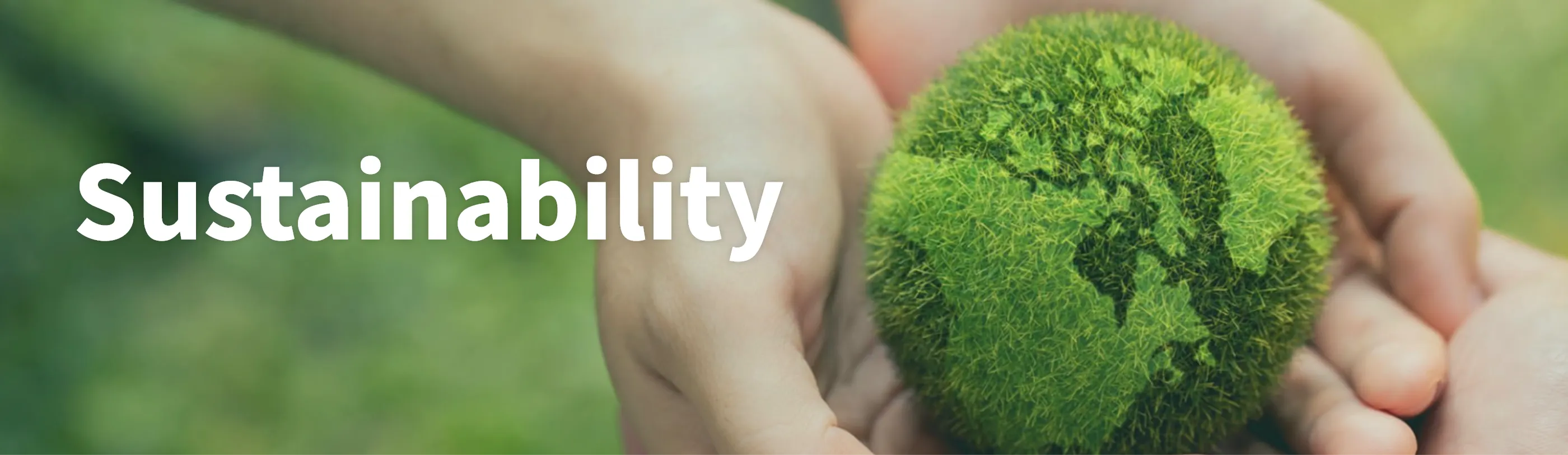 Sustainability